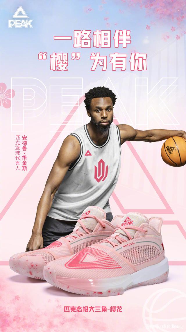 案例分析 案例分析